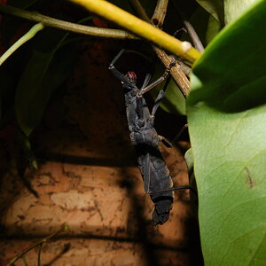 DSCN0027a