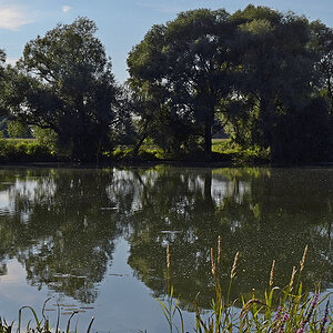 Weiher 2