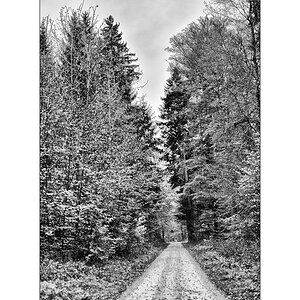 HerbstPZ1 7904 00002