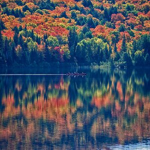 Hebst in Canada