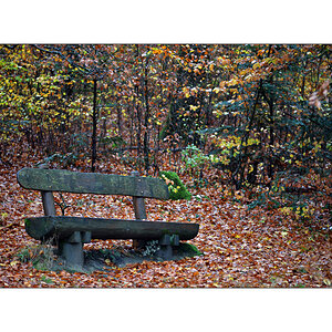 HerbstPZ1 7916 00011