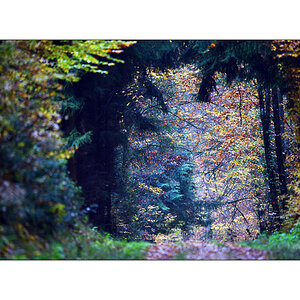 HerbstPZ1 7939 00031