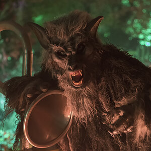 Der grosse böse unscharfe Wolf