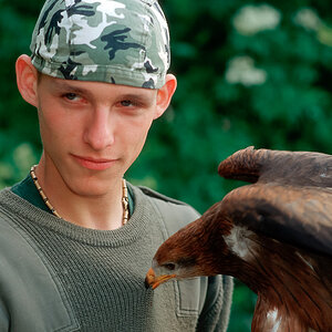 Der Falkner
