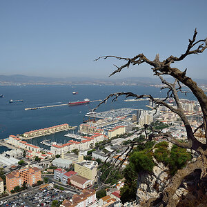 Gibraltar, View Affenbaum