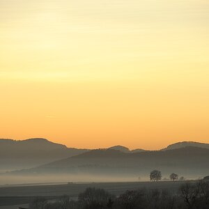 DSC 0266a