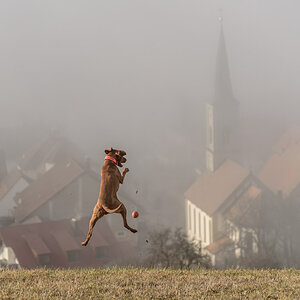 Morning Jump