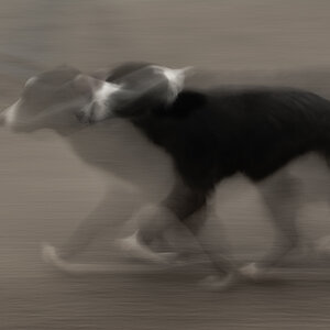 [No title]