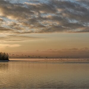 comp DSC 2239 1
