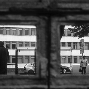 Haltestelle in Dresden 1