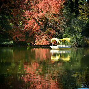 luisenpark herbst 2016