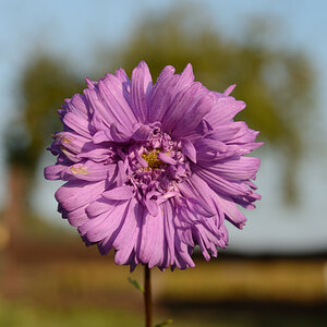 DSC 8405