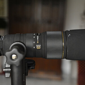 7009301xl
SIGMA 100-300mm F4 HSM EX DG mit Sigma TK APO EX 1.4x