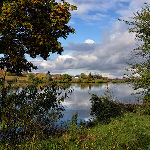 herbst am neckar