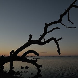 DSC 5549a