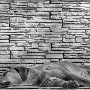 XT144548 Bearbeitet Bearbei