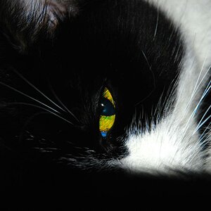 dsc 0002