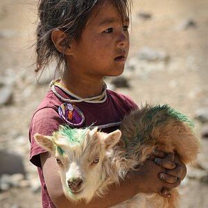 Bild 29