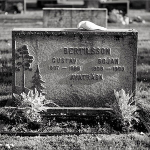 L1017019 Bearbeitet