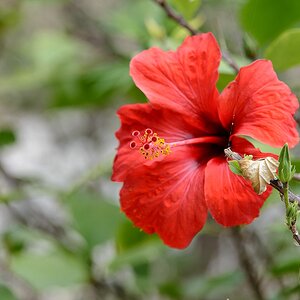 G001456c