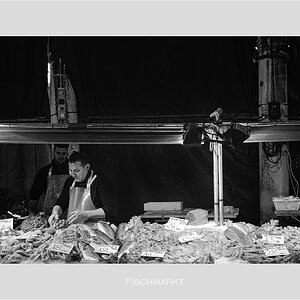 comp DSC 5862 Fischmarkt