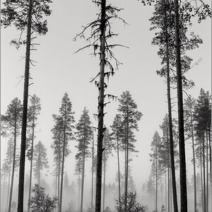 L1016174 Bearbeitet