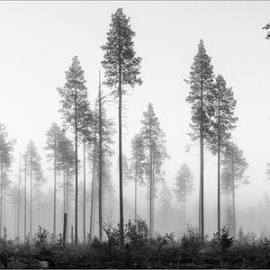 L1016167 Bearbeitet