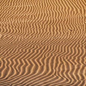 Rippelmarken Wangerooge