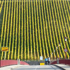 Sonntagsspaziergang comp