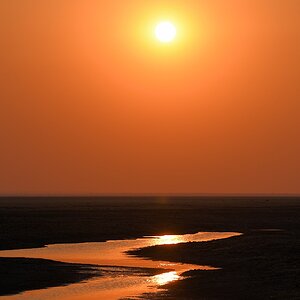 Sonnenuntergang am Katuma River
Katavi Nationalpark

s795 Katavi Katuma River 0087 h