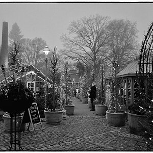 Dahlem