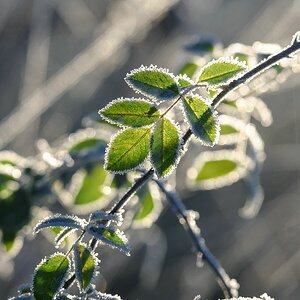 F016051c