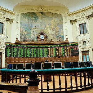 DSC 0708  C