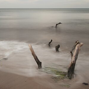 comp DSC 4881