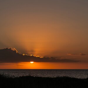 comp 20160422 DSC 6786 2