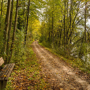 Isarweg im Herbst