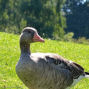 olympiapark 1 6