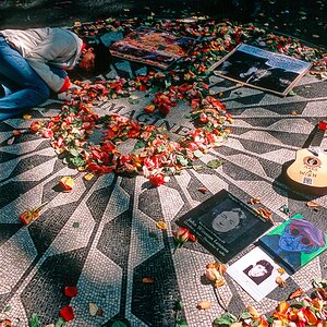 Strawberry fields 2
