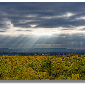 D72 1098 DxO 1000px
