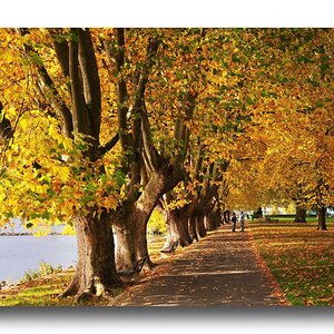 STD 0455 Allee am Rhein 1200px sRGB