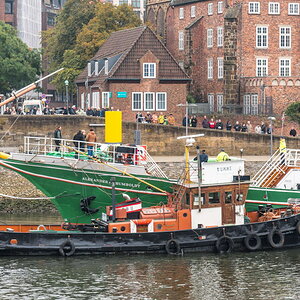 F50 3662