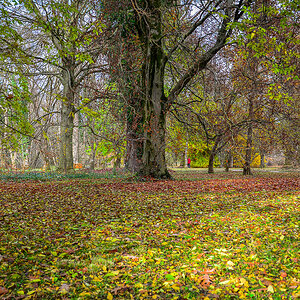 Botanischer Garten Herbst