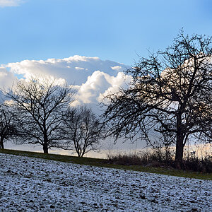 DSC 1921  Winter