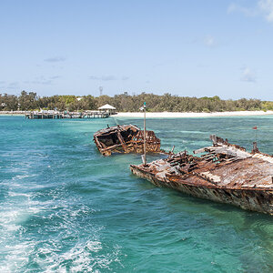 Heron Island Wrack