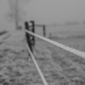 2017 01 01 DSC 5330