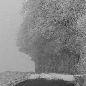 2017 01 01 DSC 05393sw