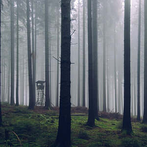 Der Taunus im Herbst