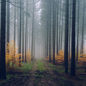 Der Taunus im Herbst