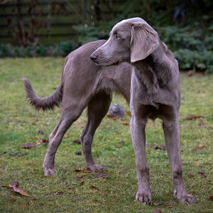 DSC2712 Bearbeitet