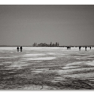 20120212 0020 Steinhuder Meer Frost b&w